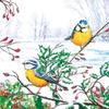 3-Ply Xmas Decoupage Tissue Paper Napkins Decorative Christmas Serviettes 33cm x 33cm - Pack of 20 (Two Winter Tits) view 1