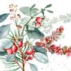 20 Disposable Napkins Autumn Natural Blossoms on Rose Hips as Table Decoration Paper Napkins with Motif Also for Decoupage 33 x 33 cm view 1