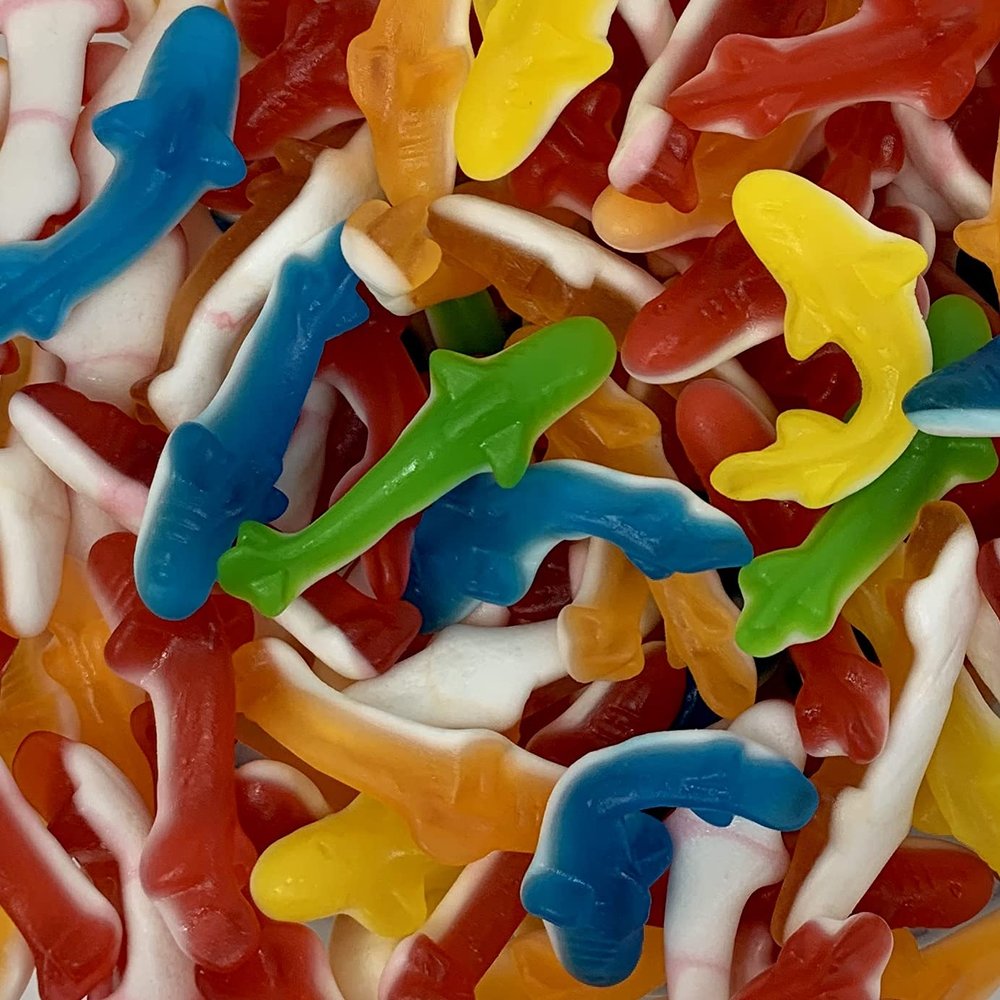 Jelly Sharks LARGE RETAIL Sweet Shop Jar by The Gourmet Sweet Company