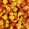 Chicken Feet LARGE RETAIL Sweet Shop Jar by The Gourmet Sweet Company view 1
