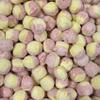 Rhubarb & Custard Bon Bons LARGE RETAIL Sweet Shop Jar by The Gourmet Sweet Company view 1