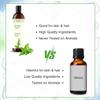 Organic Bliss Melissa Essential Oil 100% Pure and Natural Therapeutic Grade Essential Oil for Hair Skin Care (50 ML) view 2