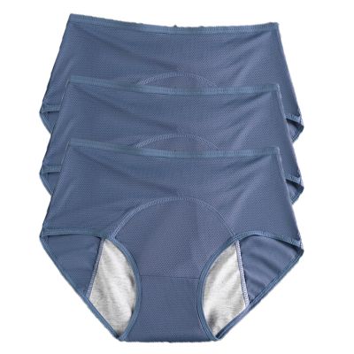 REUset Women's Washable Anti-Urinary Panties, 3 x Incontinence Panties, Breathable, Washable Waterproof, Menstrual Panties for Menstrual Cycle, C, 3XL