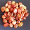 100g Natural Irregular Carnelian Rough Red Agate Raw Crushed StoneCrystals Quartz Mineral Mozambique Craft Decor Accessories view 3