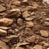 Cacao Ceremonial Grade 100% Organic Criollo Peru coffee alternative (500g) view 3