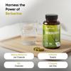 Berberine Supplement - 500mg per Capsule - 4 Months Supply - 120 Capsules - Stable Berberine Form- 1 per Day - Vegan-Friendly & Non-GMO - Sourced from Berberis Aristata view 2