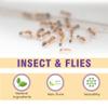 DD Teck Premium Insect Repellent with Lemongrass & Lavender  DEET Free Extra Strength Body Oil  Repels Mosquitoes, Fleas, Ticks, Moths & Spiders  Travel & Outdoor Protection (100ml Glass Dropeer) view 4