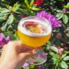 DAZY Passionfruit Martini 750ml Cocktail Mixer view 3