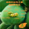 Papaya konjac yam powder, Chinese snacks, nutritious cereals breakfast, healthy vegetable soup, ready to eat konjak Congee 500g/can, instant nutritious meal substitute powder, side dish (1 can) view 4