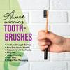 EcoSlurps 12 Bamboo Toothbrushes - Britush Brand - One Year Supply with Each Toothbrush Box Labeled On Internal Boxes - Award Winning Multi Colour Adult Toothbrush Multipack (12 Adult, Multicoloured) view 4