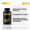 GN Laboratories Fadogia Agrestis (60 Capsules) - Traditional Healing Power in Each Capsule - 500 mg Pure Extract Per Capsule - Made in Germany view 2