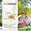 Filosophy Filo Vegan Pie, Traditional Greek Origin Frozen, 10 Flavours Available, Freshest Ingredients Ready to Bake and Eat (Greek Zucchini & FETA Pie 550g, 5 Pack) view 3