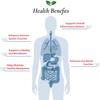 Foods For Gut Akkermansia Muciniphila Pasteurized Powder 100 Billion TFU/g | Digestive & Immune Support | High Potency | 30 Grams (1.05 Oz) view 4