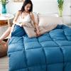 lsxlkha All Season Down Alternative Quilted Comforter, Duvet Filling and Cotton Shell, All-Season Duvet Moisture-Wicking and Thermoregulating, Silky Soft and Comfortable 150x200cm 2kg view 4
