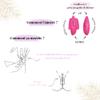 Vam Protect - Intimate Protection Waxing, Shaving, Sport, Pregnancy, Tight Clothing - 4 Sizes in 1 - Comfort, Safety, Versatility - Simple dark pink version with printed pouch 100% cotton view 4