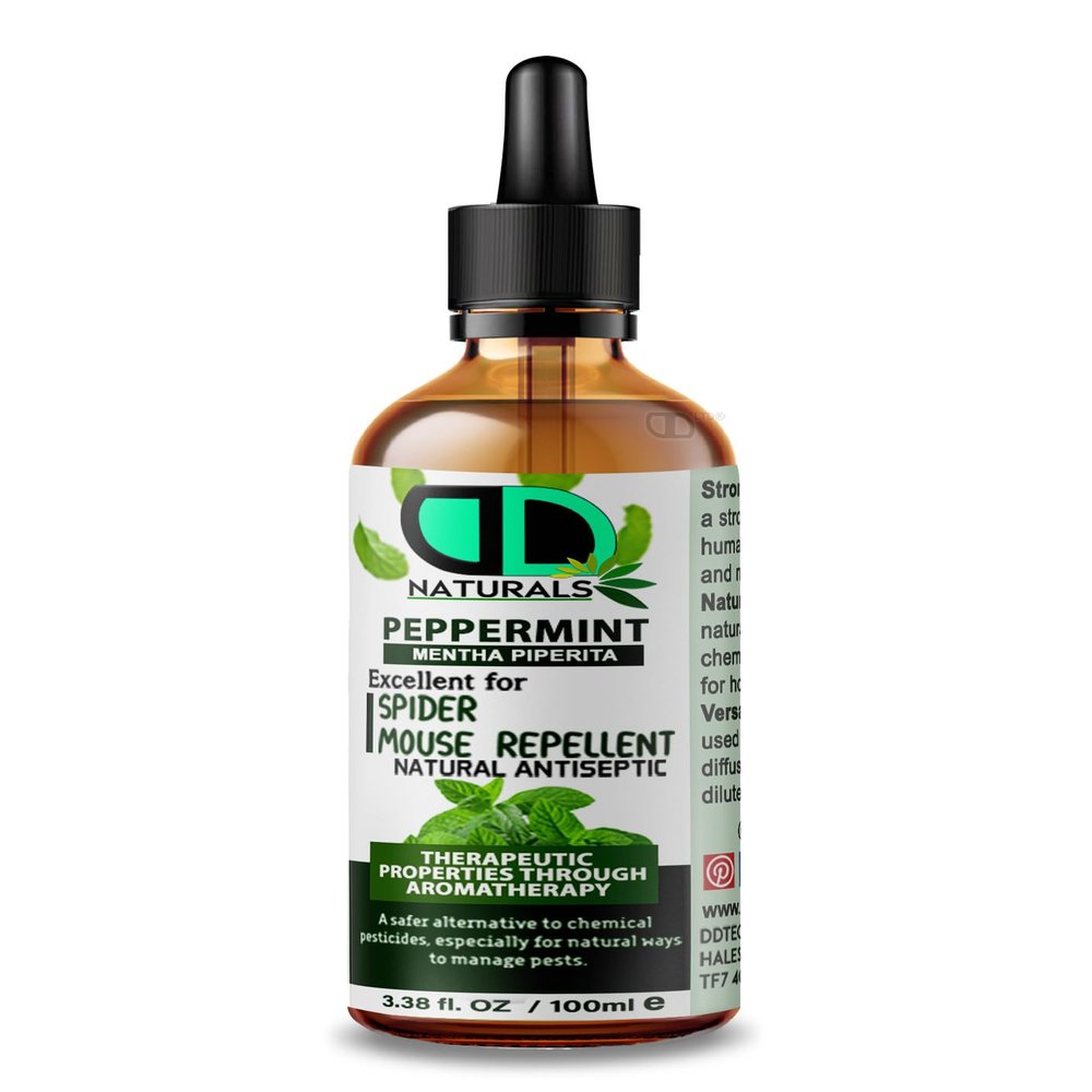 Spider & Mouse Insect Repellent with Peppermint Essential Oil - Body Oil Deet Free (100ml Glass Dropper)