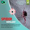 DD Teck Spider Repellent with Peppermint, Lemon, Lime & Ornge Essential Oil - Body Oil Deet Free (10ml Cap) view 2