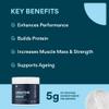 Bettervits Creatine Monohydrate Powder | Ideal for Muscle Growth & Recovery - Unflavoured Creatine 5g | 100% Pure Micronised Creatine Powder | Supports Strength Performance | 60 Servings view 2