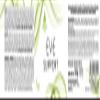 PEAK Eye Support - 60 Capsules I 30 Servings I with Lutein I Zeaxanthin I Astaxanthin I Vitamins & Minerals I Vision view 2