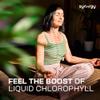 Liquid Chlorophyll, Peppermint Oil, and Plant Extracts Food Supplement | Supports Digestive and Intestinal Health | Synergy Worldwide Phytolife 730 ml | 48 Servings view 2