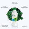 Liquid Chlorophyll, Peppermint Oil, and Plant Extracts Food Supplement | Supports Digestive and Intestinal Health | Synergy Worldwide Phytolife 730 ml | 48 Servings view 3