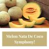 Mogu Mogu Melon Flavoured Drink with Nata De Coco 1 Liter view 3