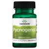 Swanson, Pycnogenol, 100mg, Pine Bark Extract, High Dose, 30 Capsules, Lab-Tested, Soy Free, Gluten Free, Non-GMO view 1