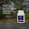 Yamoa Funtumia Elastica Capsules. Vegan. (60 Capsules) view 2