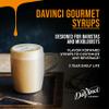 DaVinci Gourmet Classic Iced Coffee Concentrate Syrup, 751.2 ml (Pack of 1) view 3