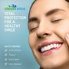 Clean Idea EcoFlosser 300 Picks - Charcoal Dental Floss Picks for Teeth Cleaning - Biodegradable Floss Picks - Dental Floss Picks - Plant Based - Vegan - Sustainable - Eco Friendly view 3