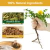 iMATCHME Organic Dandelion Tea, Dandelion Leaf & Root Tea, Herbal Tea, Digestion and Immune Support, Caffeine Free, 40 Bags/80g view 3