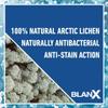 BlanX Oxygen Power Nightpen, Whitens Teeth While You Sleep, Overnight Teeth Whitening Pen with Unique Arctic Lichen and Oxygen Power, Gentle on Gums view 3