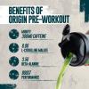 Myprotein Alpha Pre-Workout Powder with Beta Alanine and Caffeine - Sour Apple - 600g view 2