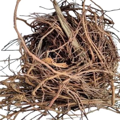 Pipal Dadhi-Ficus Benghalensis-Peepal Dadhi-Pipal Daari-Peepal Jata-Jadi Booti (50 Gram)