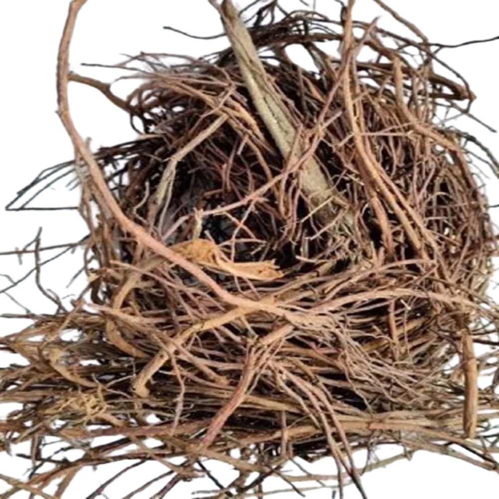 Pipal Dadhi-Ficus Benghalensis-Peepal Dadhi-Pipal Daari-Peepal Jata-Jadi Booti (50 Gram)
