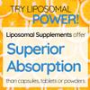 WELL ACTUALLY Liposomal Vitamin D3 + K2 Liquid Pipette - High Absorption Vegan Vitamin D3 4000 IU & Vitamin K2-7 160mcg as Menaquinone-7 MK-7 - Summer Citrus (up to 120 Servings) view 4
