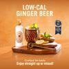 SEPOY & CO. Fiery Original Ginger Beer - 12 x 200ml | Low Calorie, 20kCal | Made with Indian & African Gingers | Pure Himalayan Water & 100% Natural Ingredients view 2