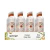 SEPOY & CO. Fiery Original Ginger Beer - 12 x 200ml | Low Calorie, 20kCal | Made with Indian & African Gingers | Pure Himalayan Water & 100% Natural Ingredients view 4