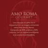 BOCCA DELLA VERITA - Box of 10 AMO ROMA Gourmet Italian coffee capsules, Capsules compatible with the Nespresso coffee machine, 100% Made in Italy view 2