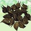 Bichhu Phal-Martynia Annua-Raw Herbs-Bicchu FAL-Biccho Phal-Kaknasa-Jadi Booti-Single Herbs (50 Gram) view 2