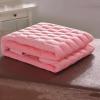 DAZULI Square/round/trapezoidal Head Non-slip Beauty Salon Bed Mattress Lash Bed Cushion Topper Massage Table Cushion With Breath Holes And Elastic Bands(Size:70x180cm,Color:F) view 2