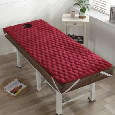 DAZULI Beauty Salon Massage Table Bed Sheet Massage Spa Treatment Bed Mattress Lash Bed Mattress Pad With Breath Hole & Elastic Bands(Size:75x190cm,Color:D)