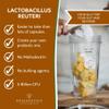 Lactobacillus Reuteri 15g | 5 Billion CFU Probiotic + Chicory Root Prebiotic (Inulin) | Vegan Friendly Powder UK Made | 1g Daily (15 Servings) view 4