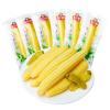 Corn Shoots, Instant Pickled Pepper Shoots, Sour and Spicy Snacks, Leisure food,Corn Peeled Shoots, Kimchi, Vegetables, Corn Vegetables, Crispy Corn, Snack Gifts (10 packs)