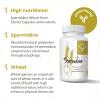 Fermented Wheat Germ Extract - 13 mg spermidine per Capsule - with zinc and thiamine - 60 Capsules (60 Count (Pack of 1)) view 3