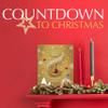 Assorted Lindt Chocolates Advent Calendar 2025-24 Days Christmas Countdpwn Mini Truffles Advent Calendar 117g with Topline Tree Decoration. Christmas Gifts for Women, Gifts for Colleagues view 3