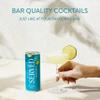SERVED Cocktail Variety Pack, 8% ABV, Premium Bar Quality Cocktails, Pre-Mixed & Ready To Drink, 8 x 250ml Cans view 4