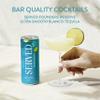 SERVED Margarita Cocktail, 8% ABV, Premium Bar Quality Cocktails, Pre-Mixed & Ready To Drink, 12 x 250ml Cans view 4