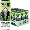 TENZING Natural Energy Drink, Plant Based, Vegan, & Gluten Free Drink, Lime & Mint, 250ml (Pack of 12) - Packaging may vary view 1