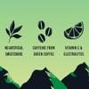 TENZING Natural Energy Drink, Plant Based, Vegan, & Gluten Free Drink, Lime & Mint, 250ml (Pack of 12) - Packaging may vary view 3